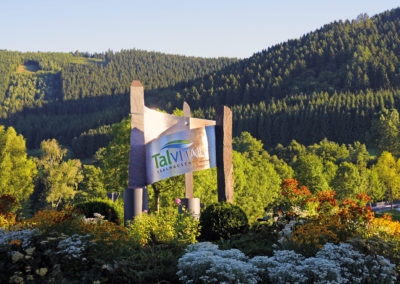 TalVital Saalhausen
